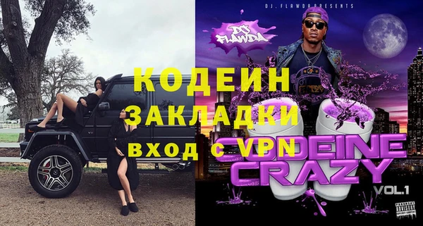 индика Пересвет