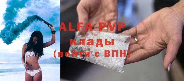 индика Пересвет