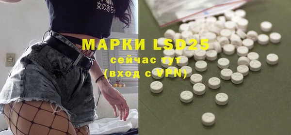 гашик Переславль-Залесский