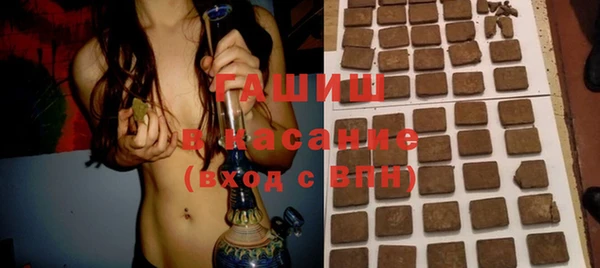 индика Пересвет