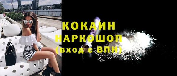 индика Пересвет