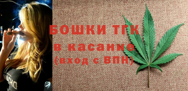 амф Пестово