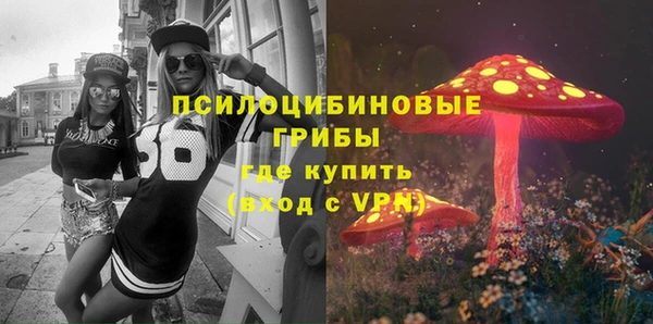 амф Пестово