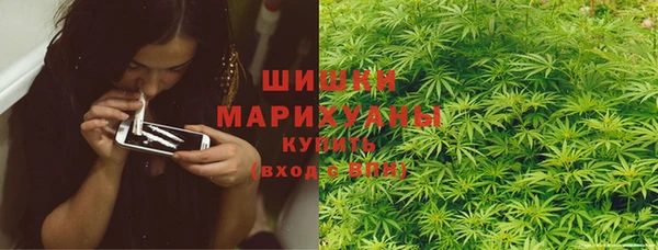 индика Пересвет