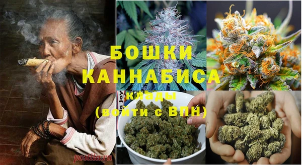 индика Пересвет