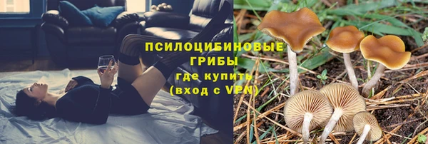 гашик Переславль-Залесский