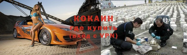 индика Пересвет