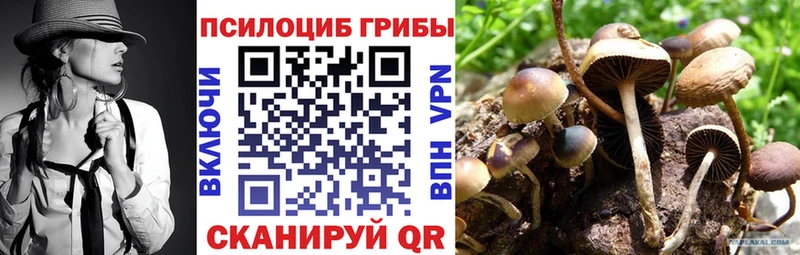 Галлюциногенные грибы MAGIC MUSHROOMS  Фёдоровский 